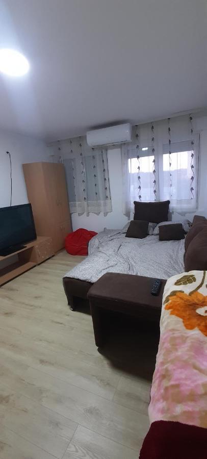 Apartman Vanja Daire Paraćin Dış mekan fotoğraf